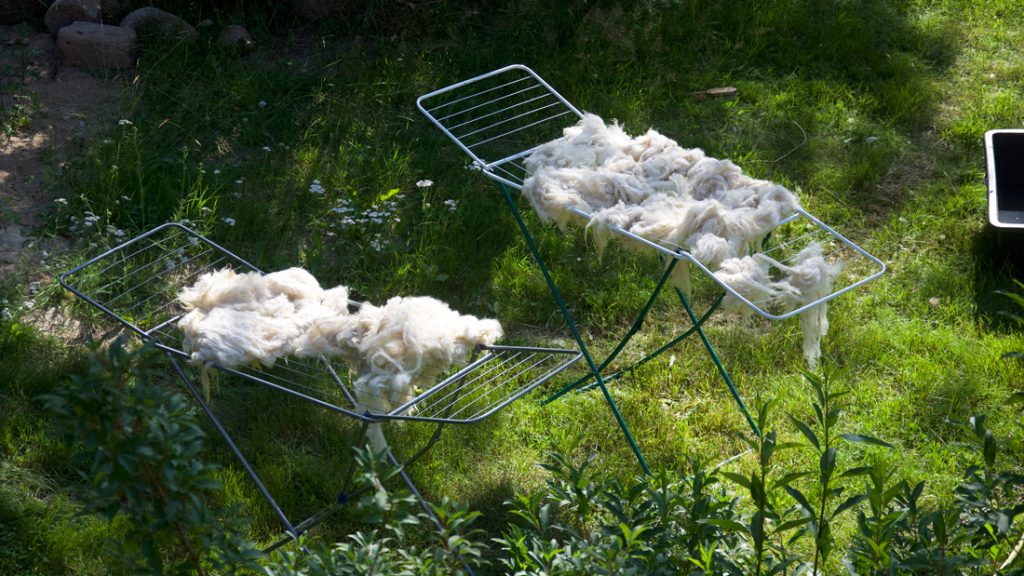 Die Wolle lag auf zwei Wäscheständern