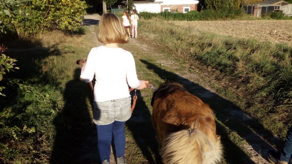 Ein kleines Mädchen geht mit dem Hund spazieren