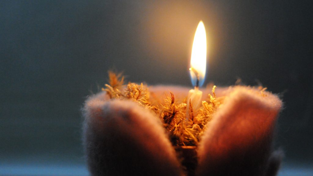 Das schöne warm leuchtende Kerzenlicht verbreitet adventliche Stimmung