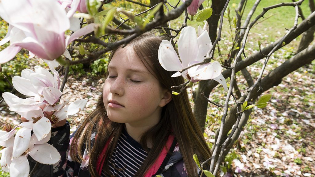 Ein Mädchen riecht intensiv mit geschlossenen Augen einem schön blühenden Baumn